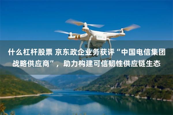 什么杠杆股票 京东政企业务获评“中国电信集团战略供应商”，助力构建可信韧性供应链生态