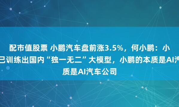 配市值股票 小鹏汽车盘前涨3.5%，何小鹏：小鹏汽车已训练出国内“独一无二”大模型，小鹏的本质是AI汽车公司