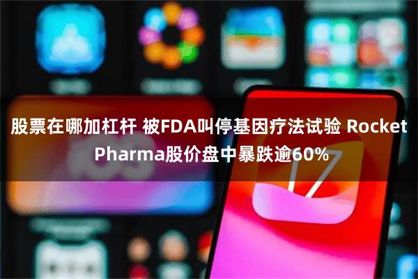 股票在哪加杠杆 被FDA叫停基因疗法试验 Rocket Pharma股价盘中暴跌逾60%