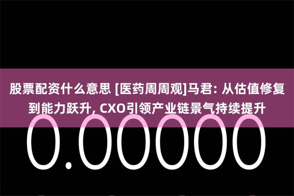 股票配资什么意思 [医药周周观]马君: 从估值修复到能力跃升, CXO引领产业链景气持续提升
