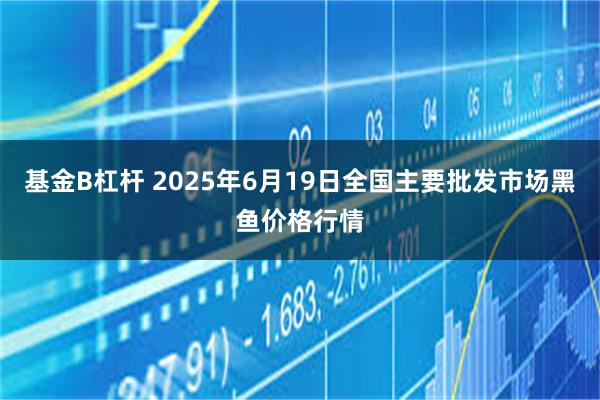 基金B杠杆 2025年6月19日全国主要批发市场黑鱼价格行情