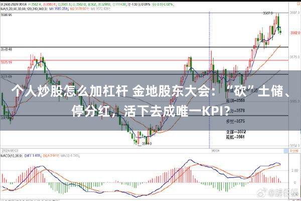 个人炒股怎么加杠杆 金地股东大会：“砍”土储、停分红，活下去成唯一KPI？