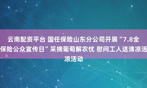 云南配资平台 国任保险山东分公司开展“7.8全国保险公众宣传日”采摘葡萄解农忧 慰问工人送清凉活动