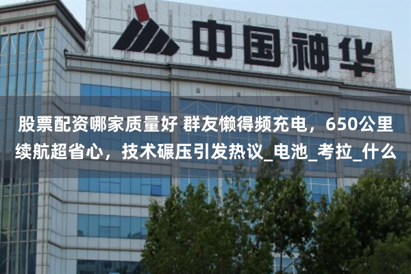 股票配资哪家质量好 群友懒得频充电，650公里续航超省心，技术碾压引发热议_电池_考拉_什么