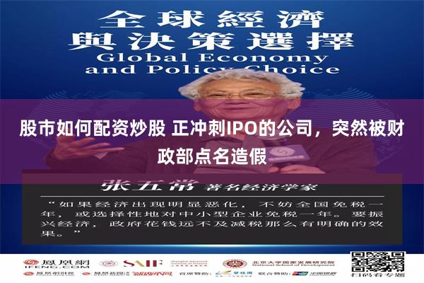 股市如何配资炒股 正冲刺IPO的公司，突然被财政部点名造假