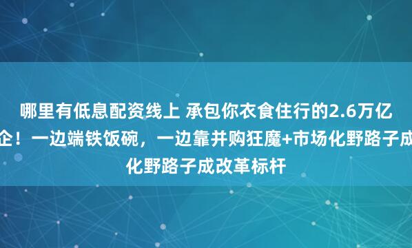 哪里有低息配资线上 承包你衣食住行的2.6万亿副部级央企！一边端铁饭碗，一边靠并购狂魔+市场化野路子成改革标杆