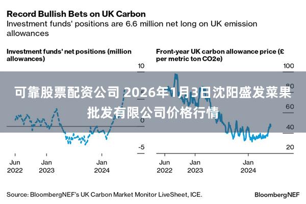 可靠股票配资公司 2026年1月3日沈阳盛发菜果批发有限公司价格行情
